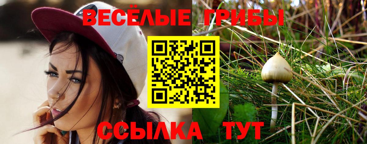 Псилоцибиновые грибы мухоморы  Вход с VPN  Михайловск 